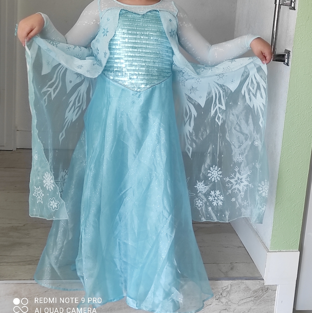 Elsa Frozen dress costume